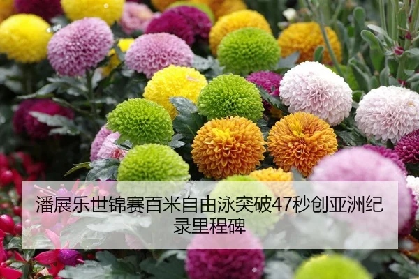 潘展乐世锦赛百米自由泳突破47秒创亚洲纪录里程碑